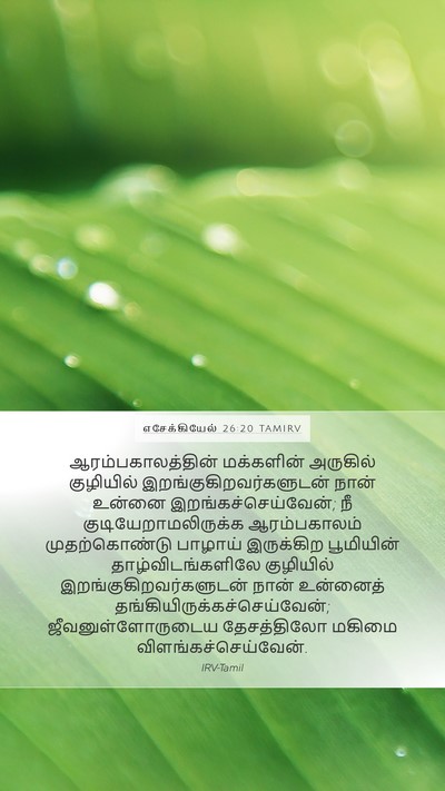 எசேக்கியேல் 26:20 TAMIRV Bible Verse Image
