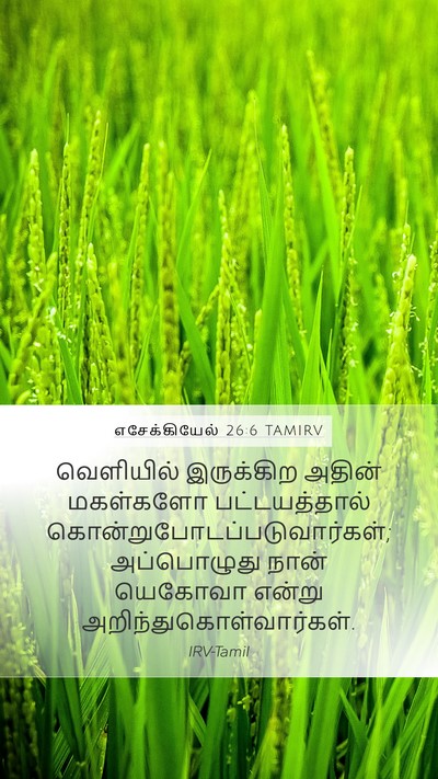எசேக்கியேல் 26:6 TAMIRV Mobile Phone Wallpaper - வெளியில் இருக்கிற - Mobile Bible Verse Wallpaper