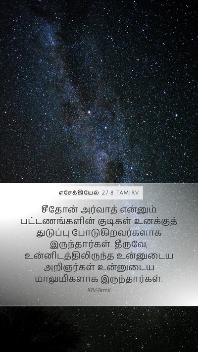 எசேக்கியேல் 27:8 TAMIRV Bible Verse Image