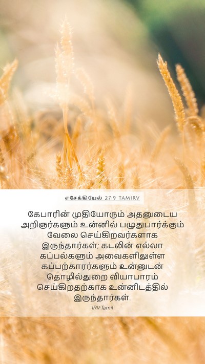 எசேக்கியேல் 27:9 TAMIRV Bible Verse Image