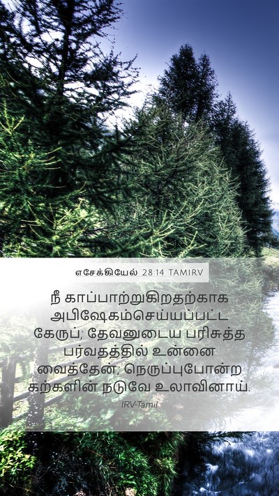 எசேக்கியேல் 28:14 TAMIRV Bible Verse Image