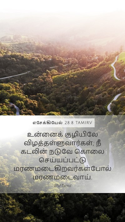 எசேக்கியேல் 28:8 TAMIRV Bible Verse Image