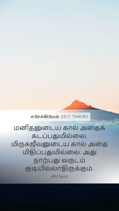 எசேக்கியேல் 29:11 TAMIRV Mobile Phone Wallpaper - மனிதனுடைய கால் - Mobile Bible Verse Wallpaper