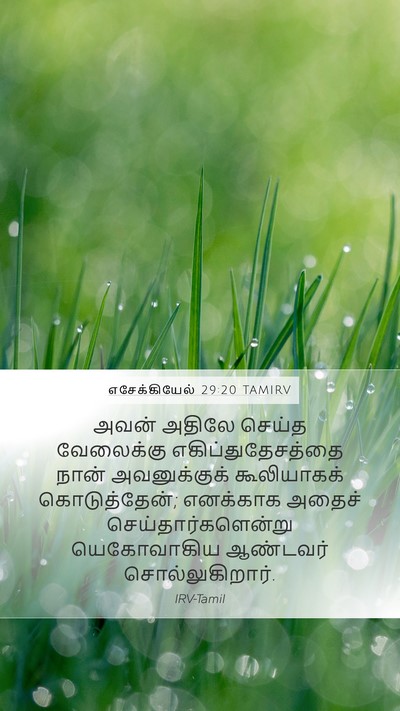 எசேக்கியேல் 29:20 TAMIRV Mobile Phone Wallpaper - அவன் அதிலே செய்த - Mobile Bible Verse Wallpaper