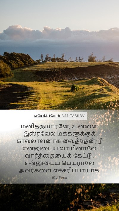 எசேக்கியேல் 3:17 TAMIRV Bible Verse Image