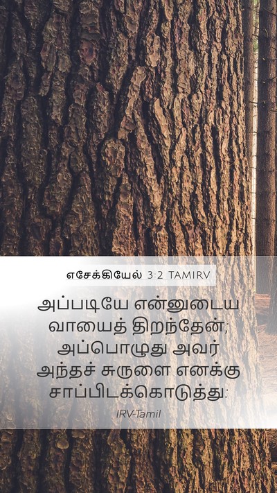 எசேக்கியேல் 3:2 TAMIRV Bible Verse Image