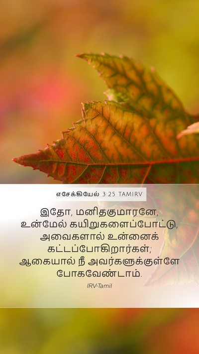 எசேக்கியேல் 3:25 TAMIRV Bible Verse Image