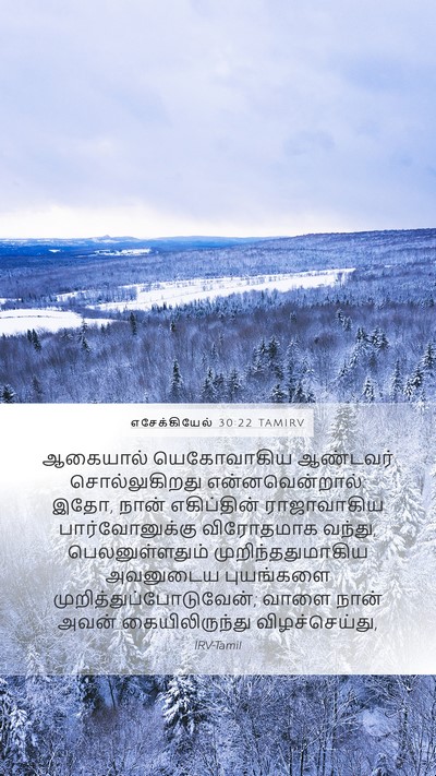 எசேக்கியேல் 30:22 TAMIRV Mobile Phone Wallpaper - ஆகையால் யெகோவாகிய - Mobile Bible Verse Wallpaper