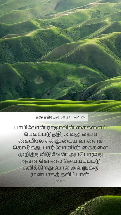 எசேக்கியேல் 30:24 TAMIRV Bible Verse Image