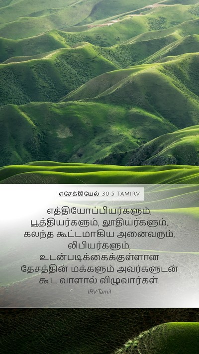 எசேக்கியேல் 30:5 TAMIRV Bible Verse Image