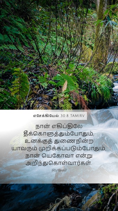 எசேக்கியேல் 30:8 TAMIRV Bible Verse Image