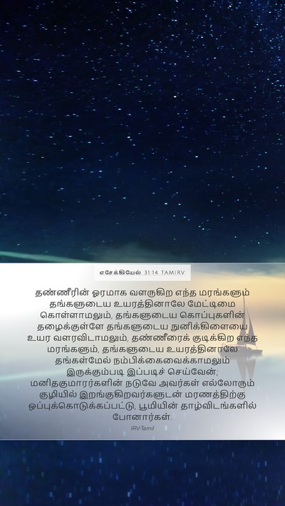 எசேக்கியேல் 31:14 TAMIRV Bible Verse Image