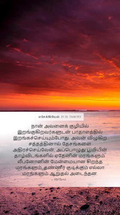 எசேக்கியேல் 31:16 TAMIRV Bible Verse Image