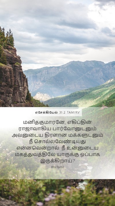 எசேக்கியேல் 31:2 TAMIRV Bible Verse Image