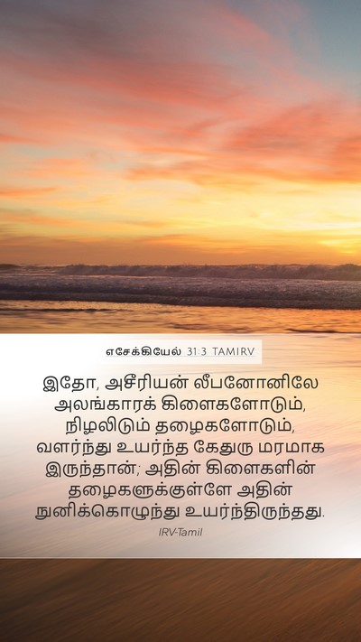 எசேக்கியேல் 31:3 TAMIRV Bible Verse Image