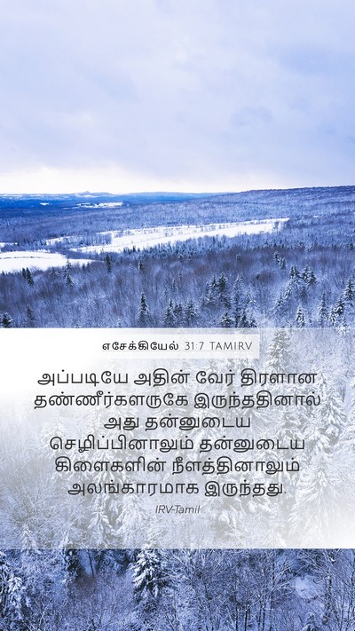 எசேக்கியேல் 31:7 TAMIRV Mobile Phone Wallpaper - அப்படியே அதின் - Mobile Bible Verse Wallpaper