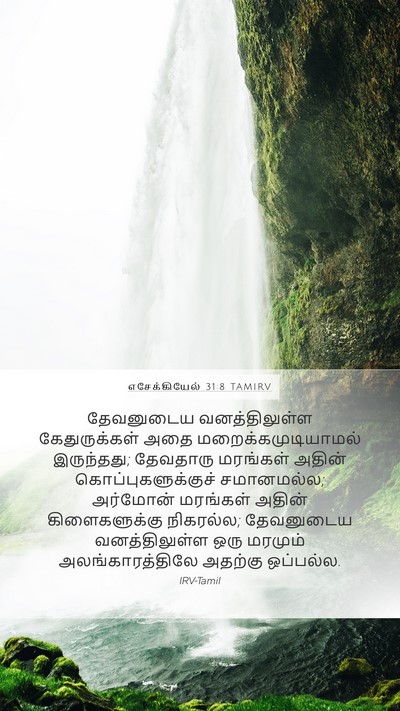 எசேக்கியேல் 31:8 TAMIRV Bible Verse Image