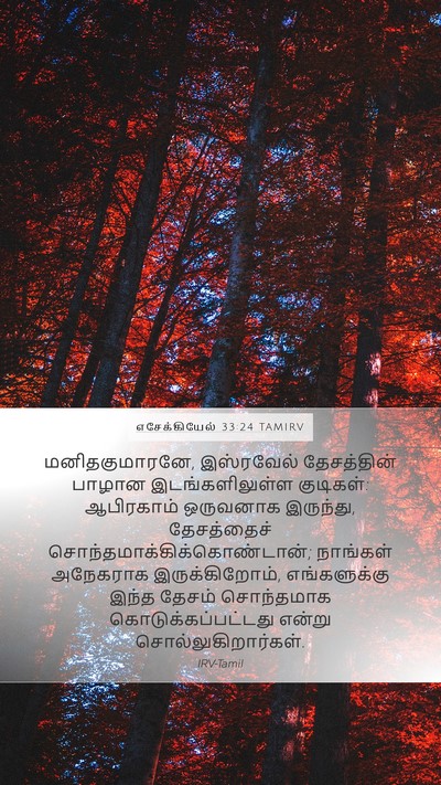 எசேக்கியேல் 33:24 TAMIRV Bible Verse Image
