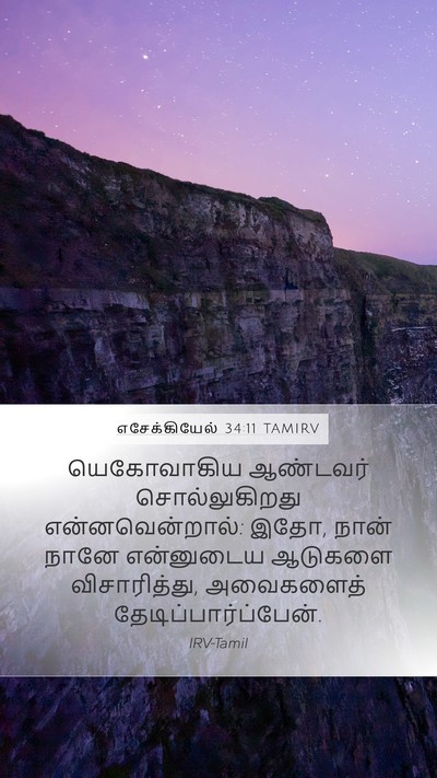 எசேக்கியேல் 34:11 TAMIRV Bible Verse Image