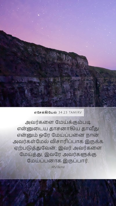 எசேக்கியேல் 34:23 TAMIRV Bible Verse Image