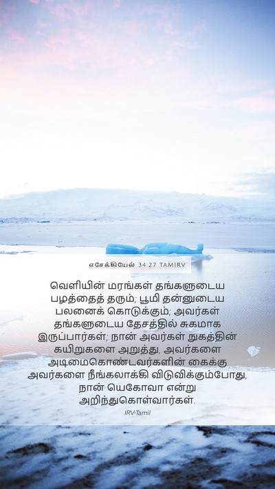 எசேக்கியேல் 34:27 TAMIRV Bible Verse Image