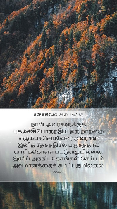 எசேக்கியேல் 34:29 TAMIRV Bible Verse Image