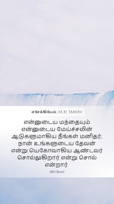எசேக்கியேல் 34:31 TAMIRV Bible Verse Image