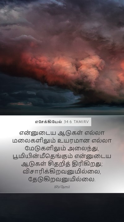 எசேக்கியேல் 34:6 TAMIRV Bible Verse Image