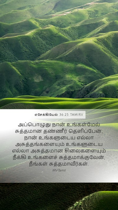 எசேக்கியேல் 36:25 TAMIRV Bible Verse Image