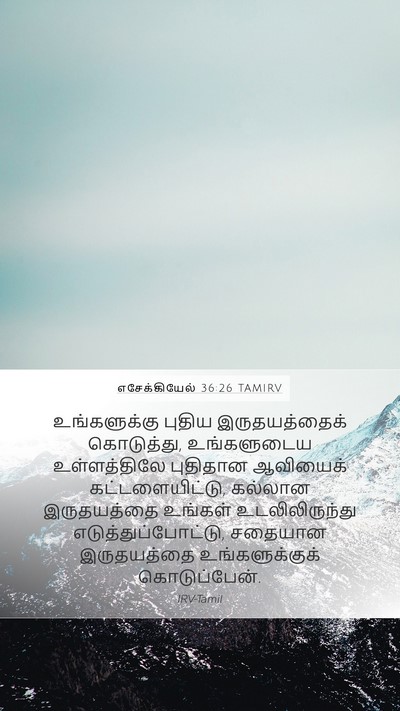 எசேக்கியேல் 36:26 TAMIRV Bible Verse Image