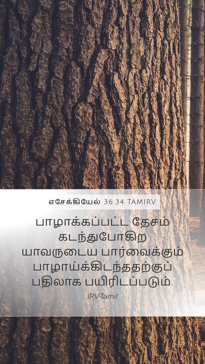 எசேக்கியேல் 36:34 TAMIRV Mobile Phone Wallpaper - பாழாக்கப்பட்ட - Mobile Bible Verse Wallpaper