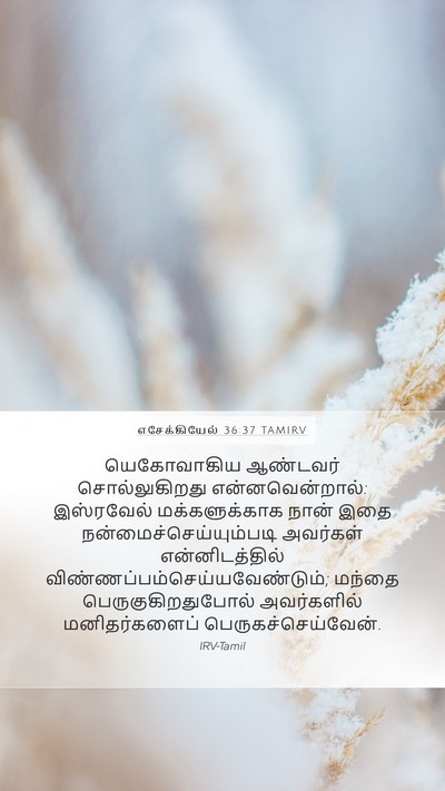எசேக்கியேல் 36:37 TAMIRV Bible Verse Image