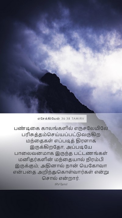எசேக்கியேல் 36:38 TAMIRV Bible Verse Image