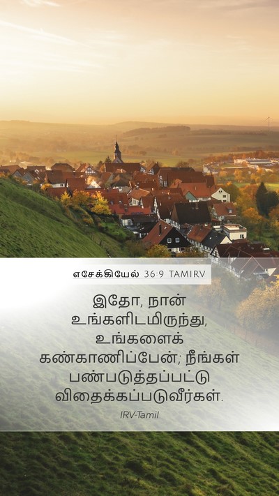 எசேக்கியேல் 36:9 TAMIRV Bible Verse Image