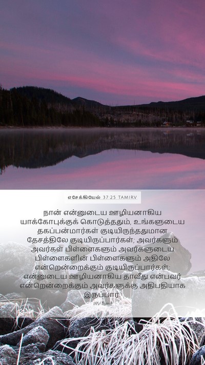 எசேக்கியேல் 37:25 TAMIRV Bible Verse Image