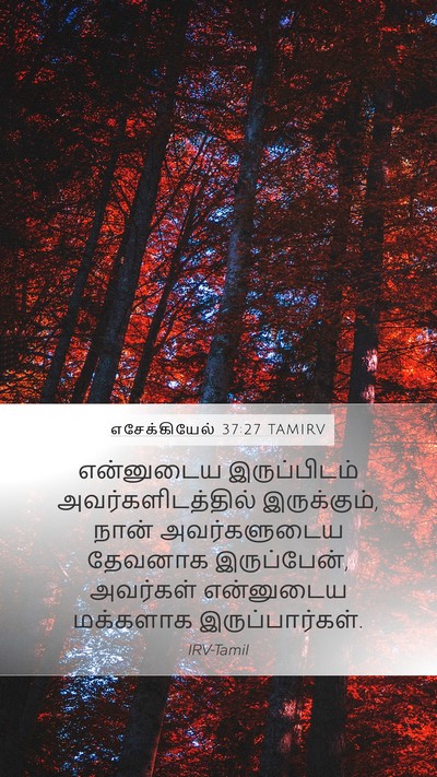 எசேக்கியேல் 37:27 TAMIRV Bible Verse Image