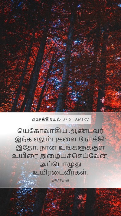 எசேக்கியேல் 37:5 TAMIRV Bible Verse Image
