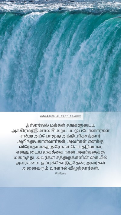 எசேக்கியேல் 39:23 TAMIRV Bible Verse Image
