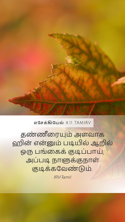 எசேக்கியேல் 4:11 TAMIRV Bible Verse Image