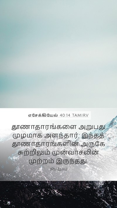 எசேக்கியேல் 40:14 TAMIRV Bible Verse Image