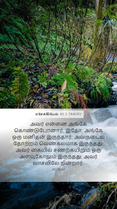 எசேக்கியேல் 40:3 TAMIRV Bible Verse Image