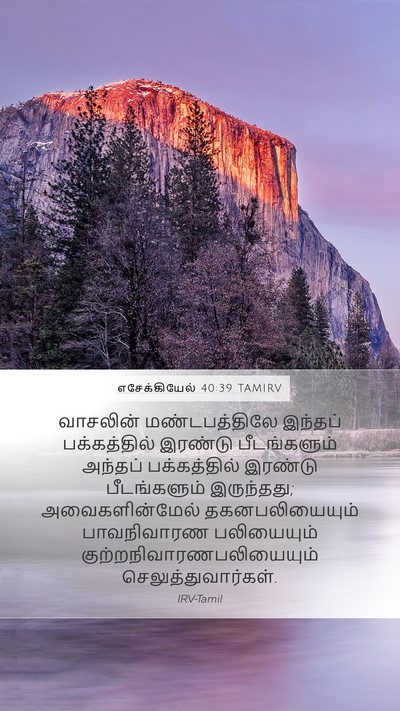 எசேக்கியேல் 40:39 TAMIRV Bible Verse Image