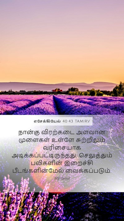 எசேக்கியேல் 40:43 TAMIRV Mobile Phone Wallpaper - நான்கு விரற்கடை - Mobile Bible Verse Wallpaper