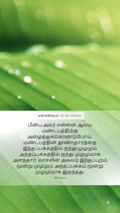 எசேக்கியேல் 40:48 TAMIRV Bible Verse Image