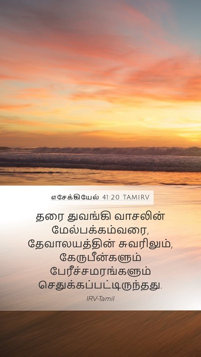 எசேக்கியேல் 41:20 TAMIRV Bible Verse Image