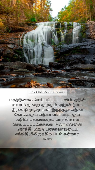 எசேக்கியேல் 41:22 TAMIRV Bible Verse Image
