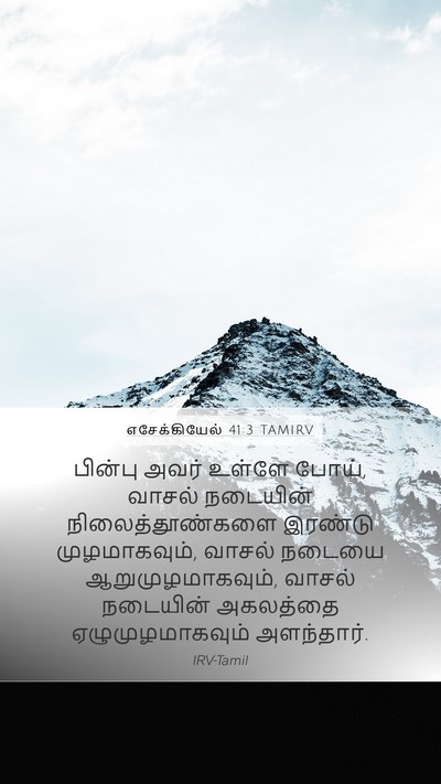எசேக்கியேல் 41:3 TAMIRV Bible Verse Image