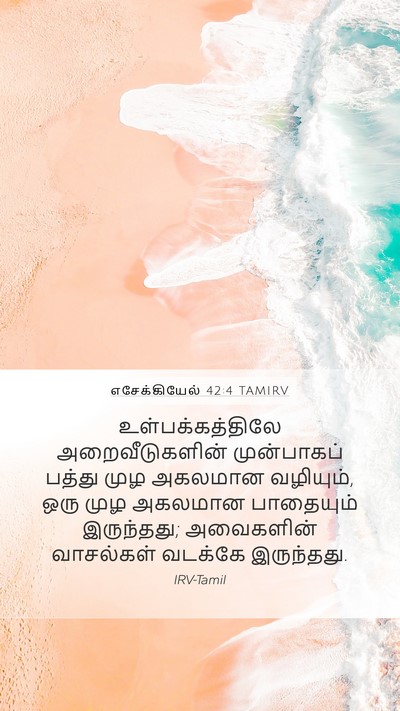 எசேக்கியேல் 42:4 TAMIRV Bible Verse Image