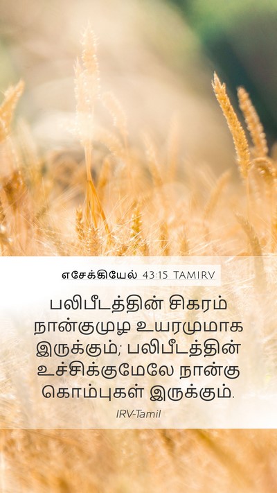 எசேக்கியேல் 43:15 TAMIRV Bible Verse Image