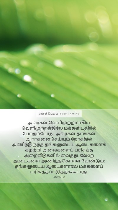 எசேக்கியேல் 44:19 TAMIRV Bible Verse Image